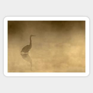 Yellow Mist - Great Blue Heron, Algonquin Park Sticker